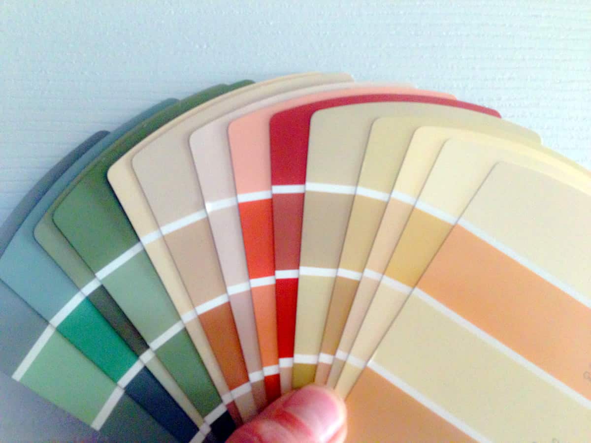 A photo of a person holding multiple color swatches, spread out into a fan.
