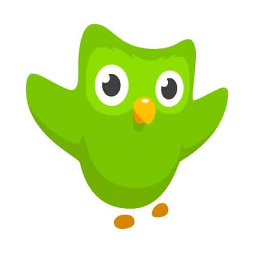 duo_owl_logo