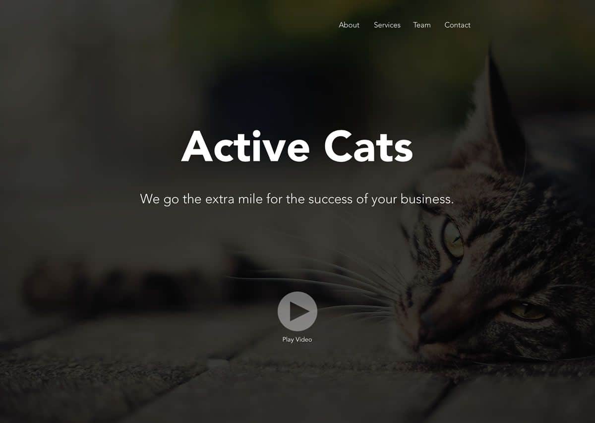 Homepage of Active Cats website claiming to go the extra mile for the success of your business. The emotions conveyed through the choice of images however is not effective and makes it not a piece of great visual design.