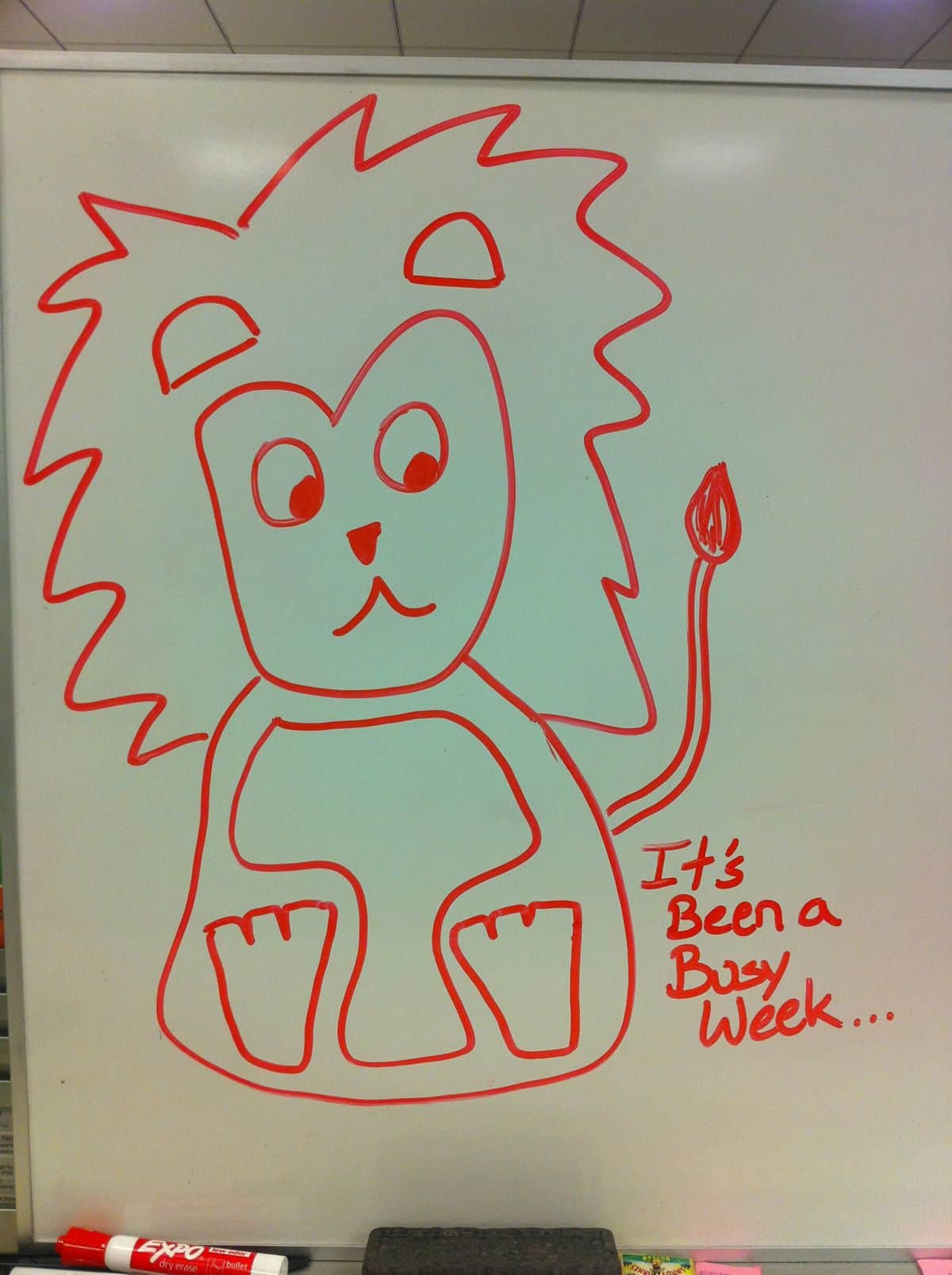 A cartoon of a lion drawn in red marker on a whiteboard with the caption, “It’s been a busy week.”