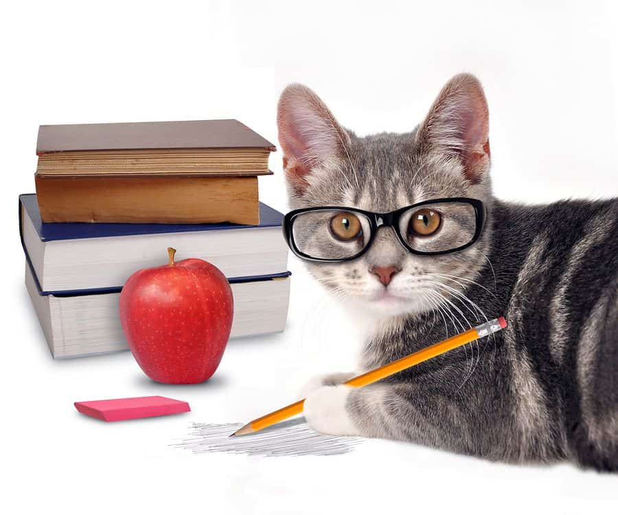 A cat wearing glasses holds a pencil in front of a stack of books and an apple.