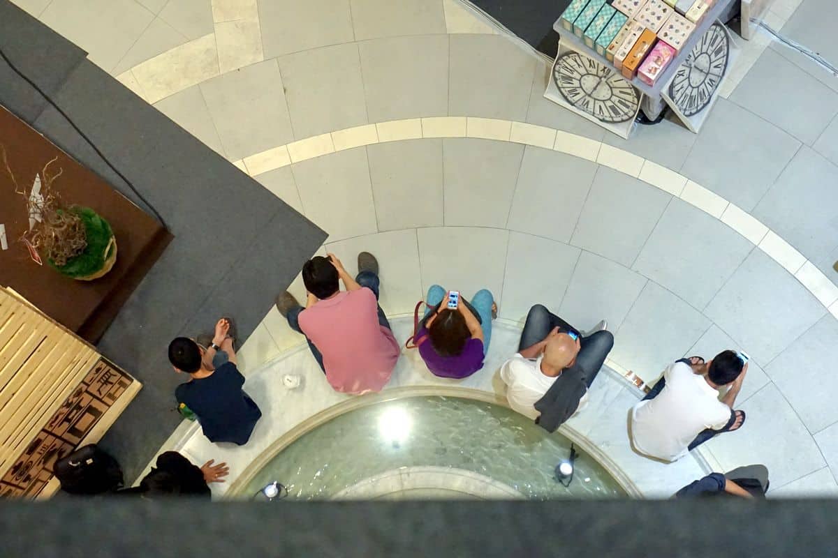 An overhead photo of a team of people sitting at the edge of a fountain, cell phones in hand.