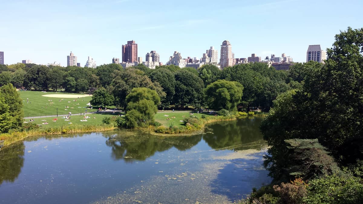 A photo of a lake in Central Park with people picnicking in the grass and skyscrapers in the background.