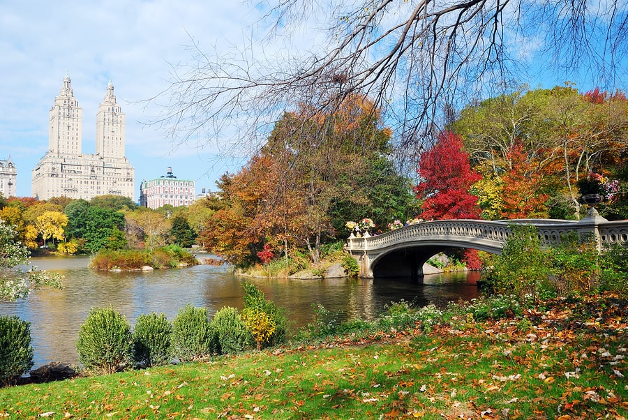 A photo of a bridge in Central Park surrounded by colorful autumn leaves with large buildings in the background.