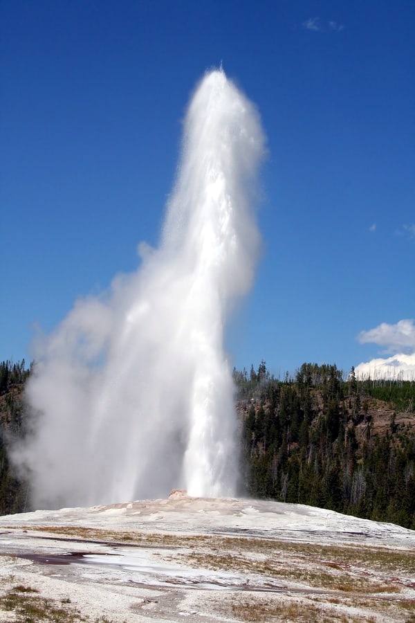 A photo of the Old Faithful Geyser erupting, shooting scalding water high into the air.