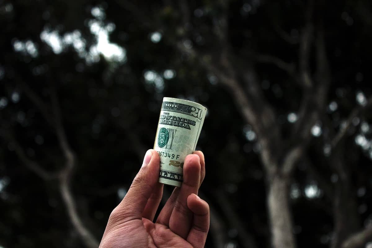 Image of a hand holding a roll of $20 bills.
