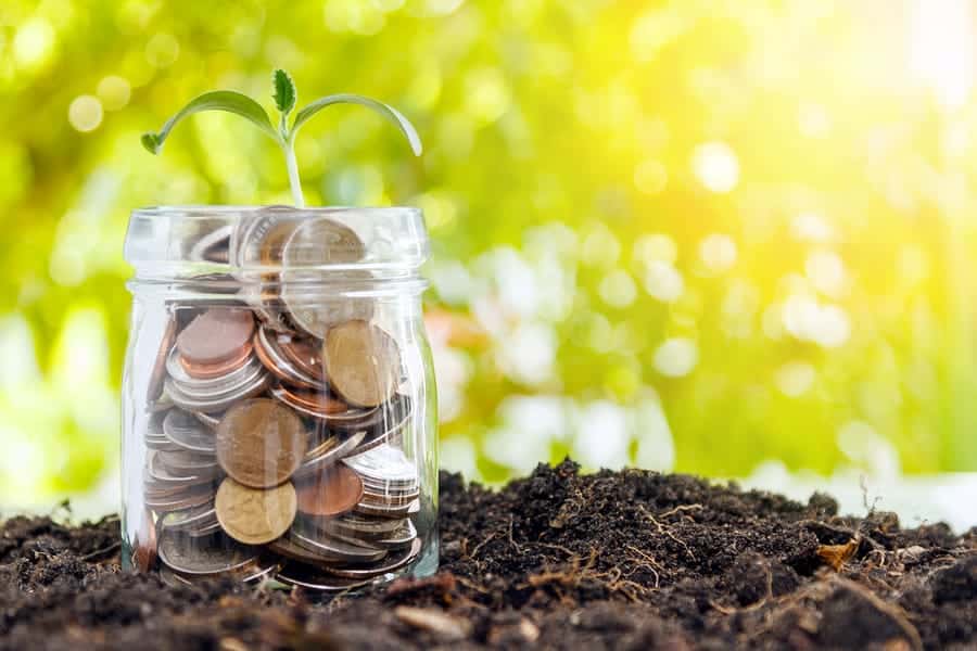 A photo of a tiny plant sprouting from a jar of coins.