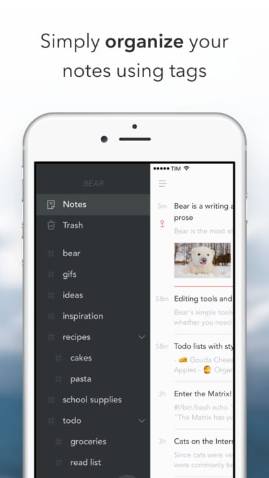 A photo of Bear, Top 10 Mobile App UI of June 2017
