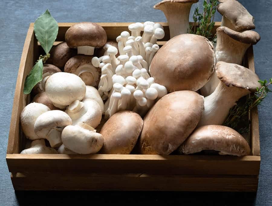 Box of mushrooms.