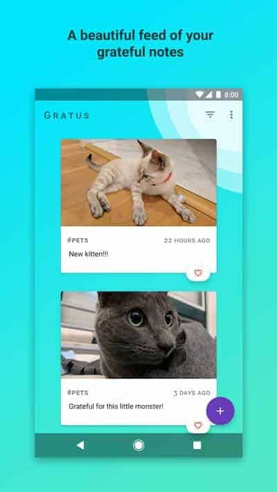 A photo of Gratus, Top 10 Mobile App UI of September 2017