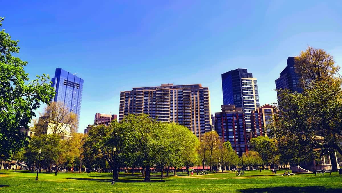 An image a park with trees next to a downtown area of a city.