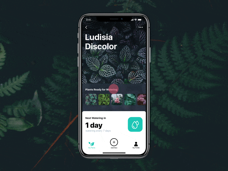 An image of the Watering Tracker App app concept, top mobile interaction design of December 2017