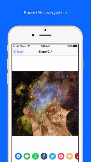 A photo of Gfycat, Top 5 Mobile App Designs of May 2018