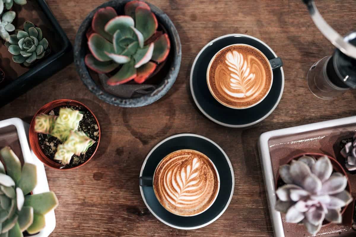 Two coffees on a wooden table surrounded by succulents.