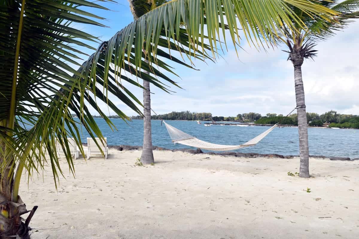 A hammock tied onto two palm trees on the beach.