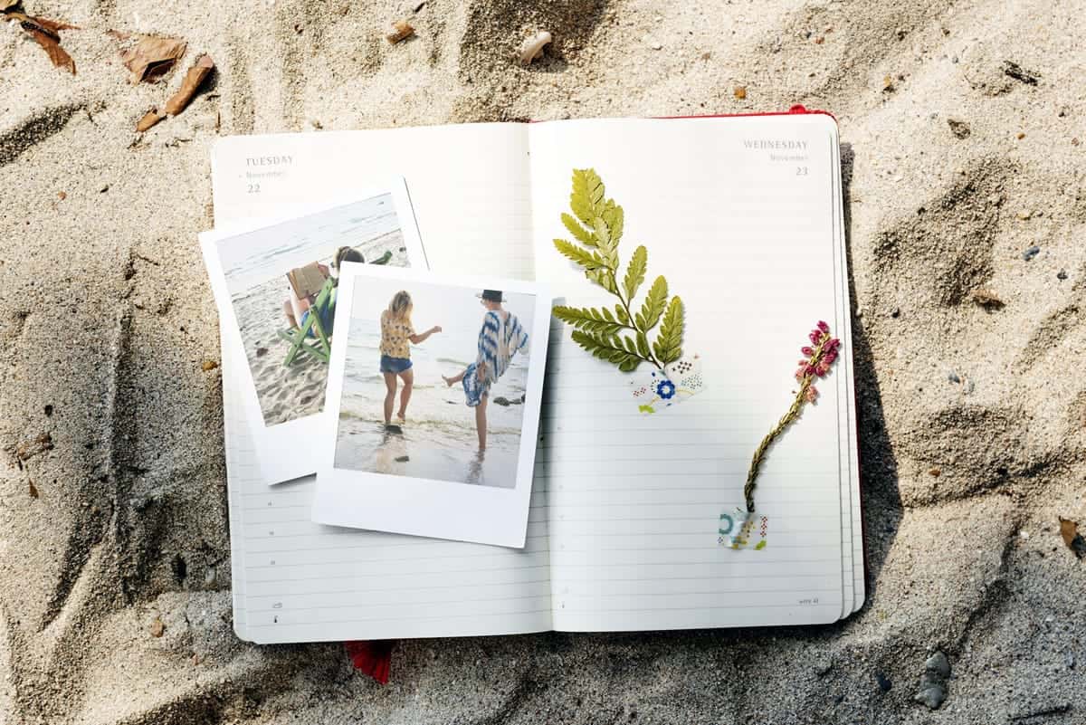 A notebook with photos and plants on a sandy beach.