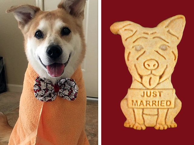 A photo of a cookie designed to look like a couple’s dog with a “Just Married” sign for their wedding day, next to the original photo of the dog.