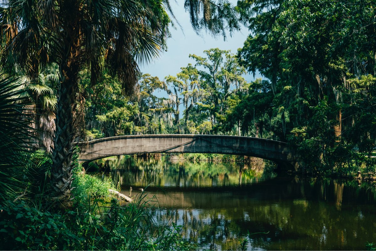 A photo of a stone bridge stretching over a creek in the middle of a park.