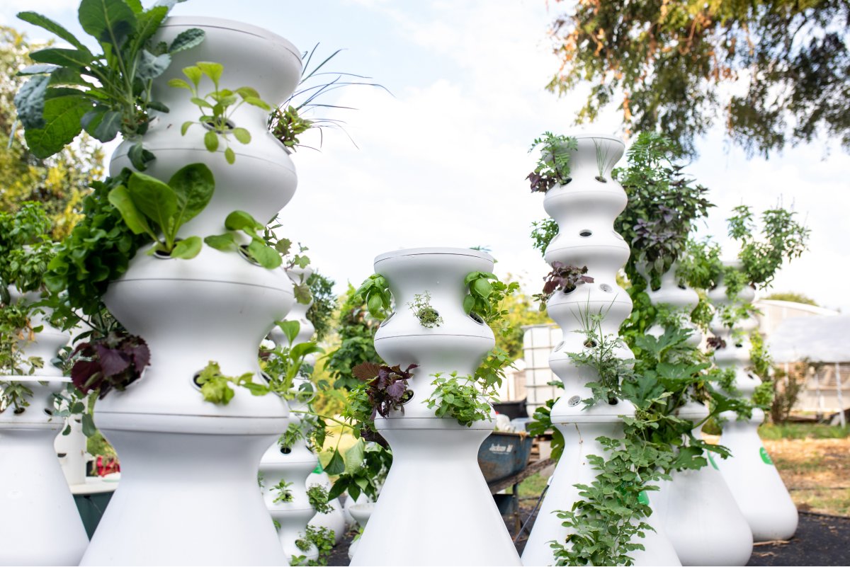 A photo of various sizes of hydroponic Farmstands from Lettuce Grow.