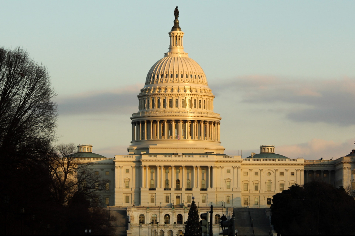 The Capitol building in Washington DC. 